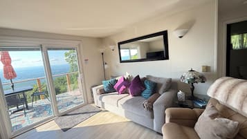 Smart TV, fireplace, DVD player, books