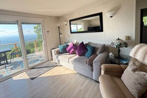 Smart TV, fireplace, books, music library