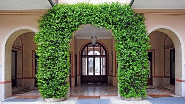 An arched entrance with a lush green hedge, a tiled floor, and a door with a glass panel. - Giovio Duplex Apartment (Milano)