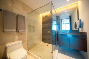 A modern bathroom with a glass-enclosed shower, a toilet, and a vanity with a mirror.