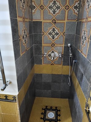 Shower, hair dryer, bidet, towels