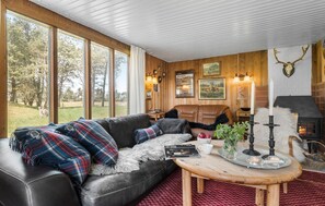 Smart-TV, Kamin