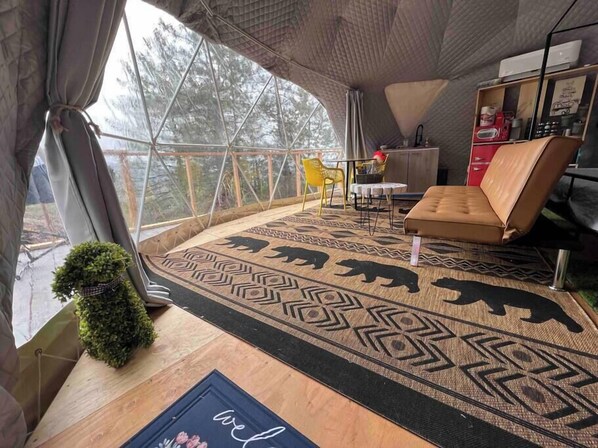 Interior - Dome 2- Mountain Views (Dunlap)