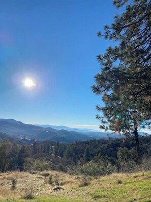 Property grounds - Dome 3 - Enchanted Forest (Dunlap)