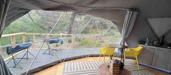 Dome 3 - Enchanted Forest