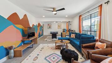 Smart TV, fireplace, DVD player, books