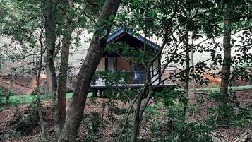 A cabin nestled among trees with a view of the surrounding forest.