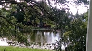Une véranda avec vue sur un étang et des arbres.