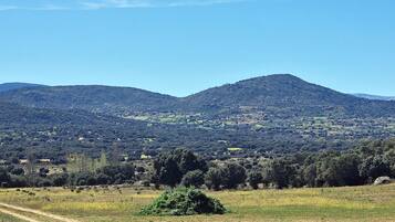 Paisaje rural con colinas onduladas, árboles dispersos y cielo despejado.