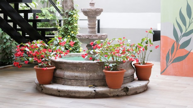 Een binnentuin met een fontein in het midden, omringd door terracotta potten met bloeiende planten, een stenen trap en een muur met een bladmotief.
