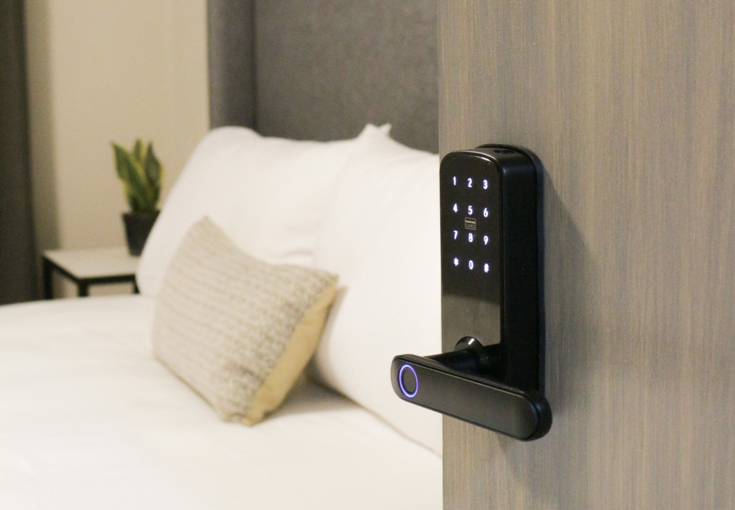 A modern room with a bed, a wall-mounted electronic device, and a small potted plant.