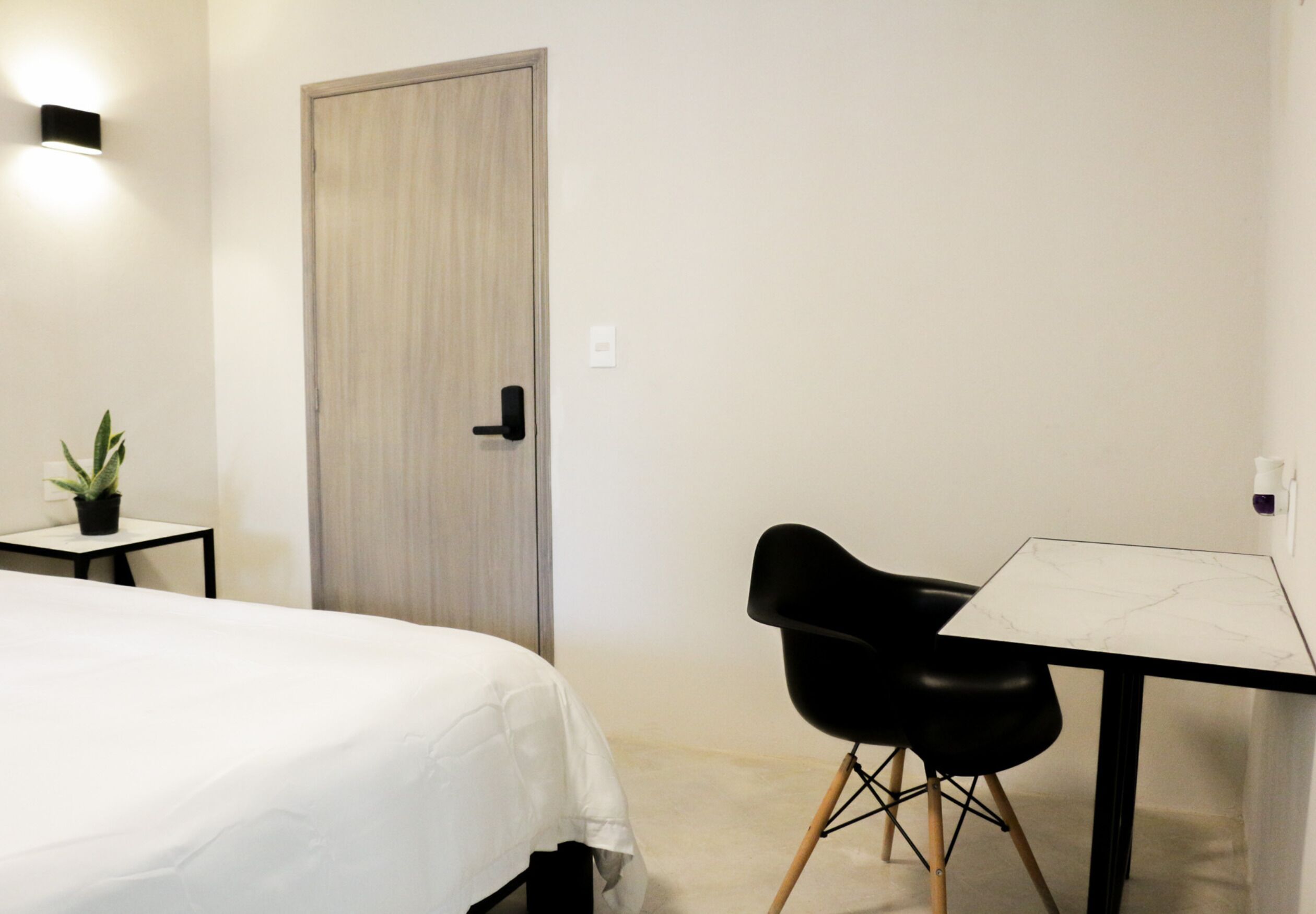 A hotel room with a bed, a desk, a chair, a potted plant, and a door.