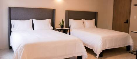 Two single beds with headboards, a small bedside table with a plant, and a wall-mounted air conditioner.