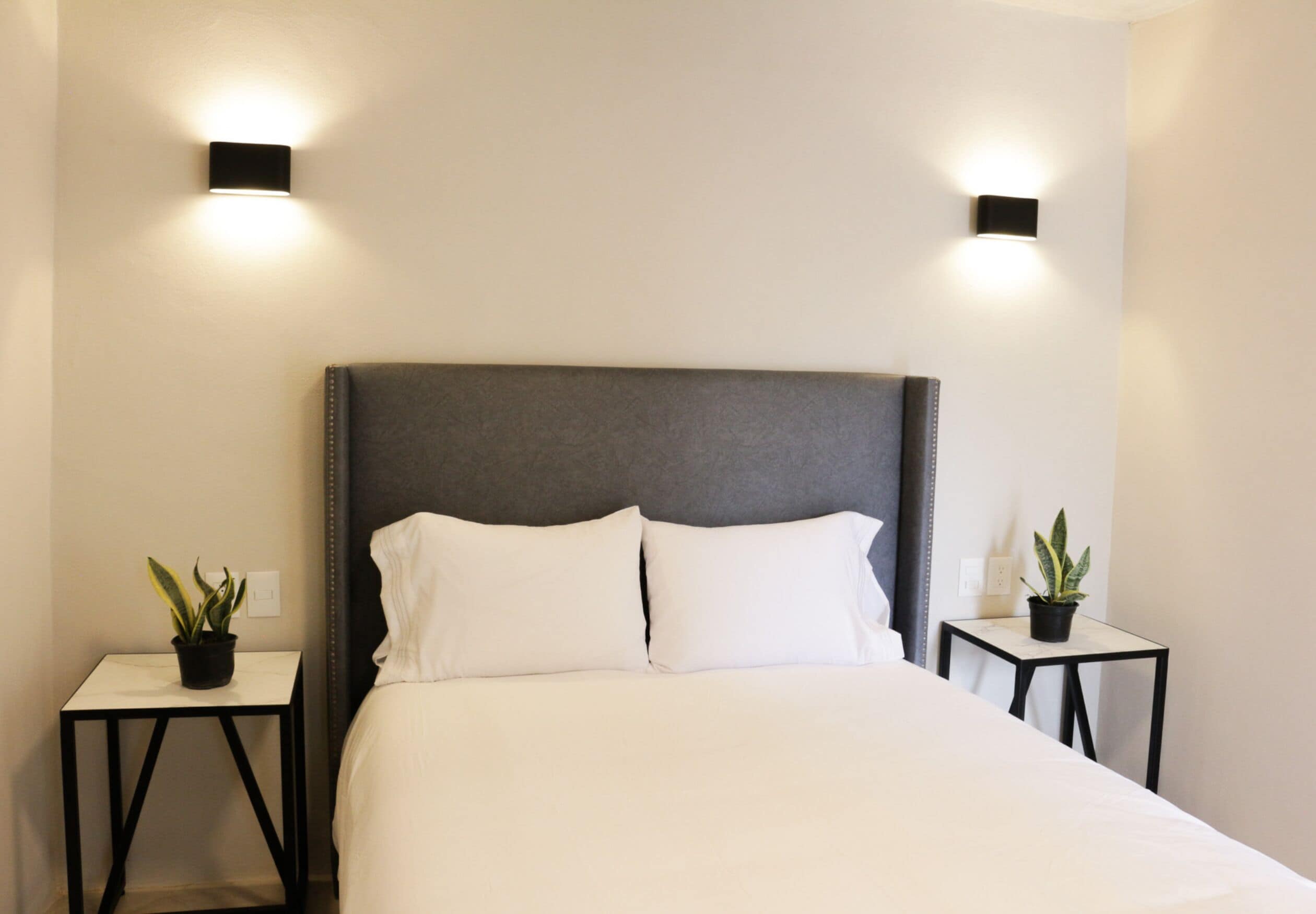 A neatly made bed with a dark headboard, two bedside tables with potted plants, and wall-mounted lights.
