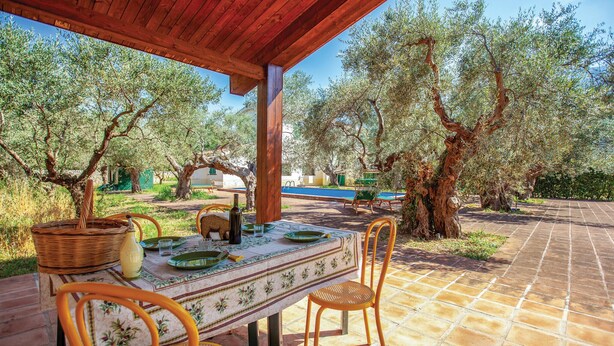 An outdoor dining area with a table set for two, surrounded by olive trees and a tiled patio. - Nice home in Tocco da Casauria (Tocco da Casauria)