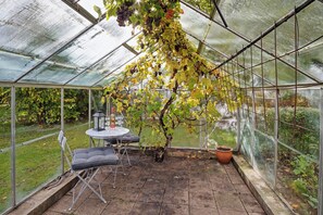 A greenhouse with a table and chairs, a potted plant, and a view of the surrounding garden.
