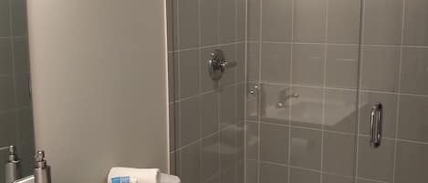 Shower, eco-friendly toiletries, hair dryer, towels