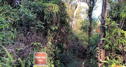 Puna Rainforest Hot Spring Retreat - Green Bamboo Cottage