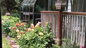 A garden with a wooden fence, a greenhouse, and various flowering plants. - Riverfront Beach House Rental (Yachats)