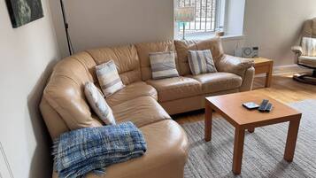 Una televisión, una chimenea