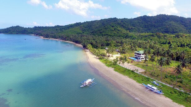 A coastal area with a beach, a boat, and a building surrounded by palm trees. - El Nido Palms Resort (El Nido)