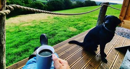 Ash Shepherd's Hut, Wiveliscombe