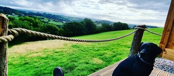 Ash Shepherd's Hut, Wiveliscombe