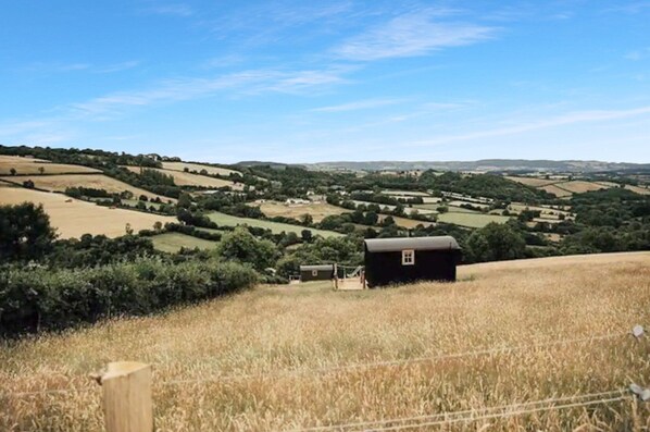 Miscellaneous - Ash Shepherd's Hut, Wiveliscombe (Wiveliscombe)