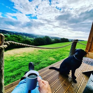 Overnattingsstedets uteområder