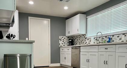 Modern with a Splash of Fun