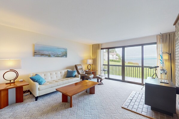 TV, fireplace, books