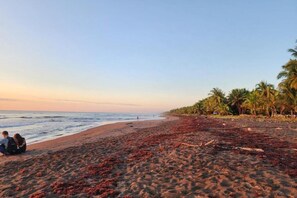 On the beach - Tortuguero7 Lake View ah 10 mts Dela Playa , Vista al Lago (TORTUGUERO)
