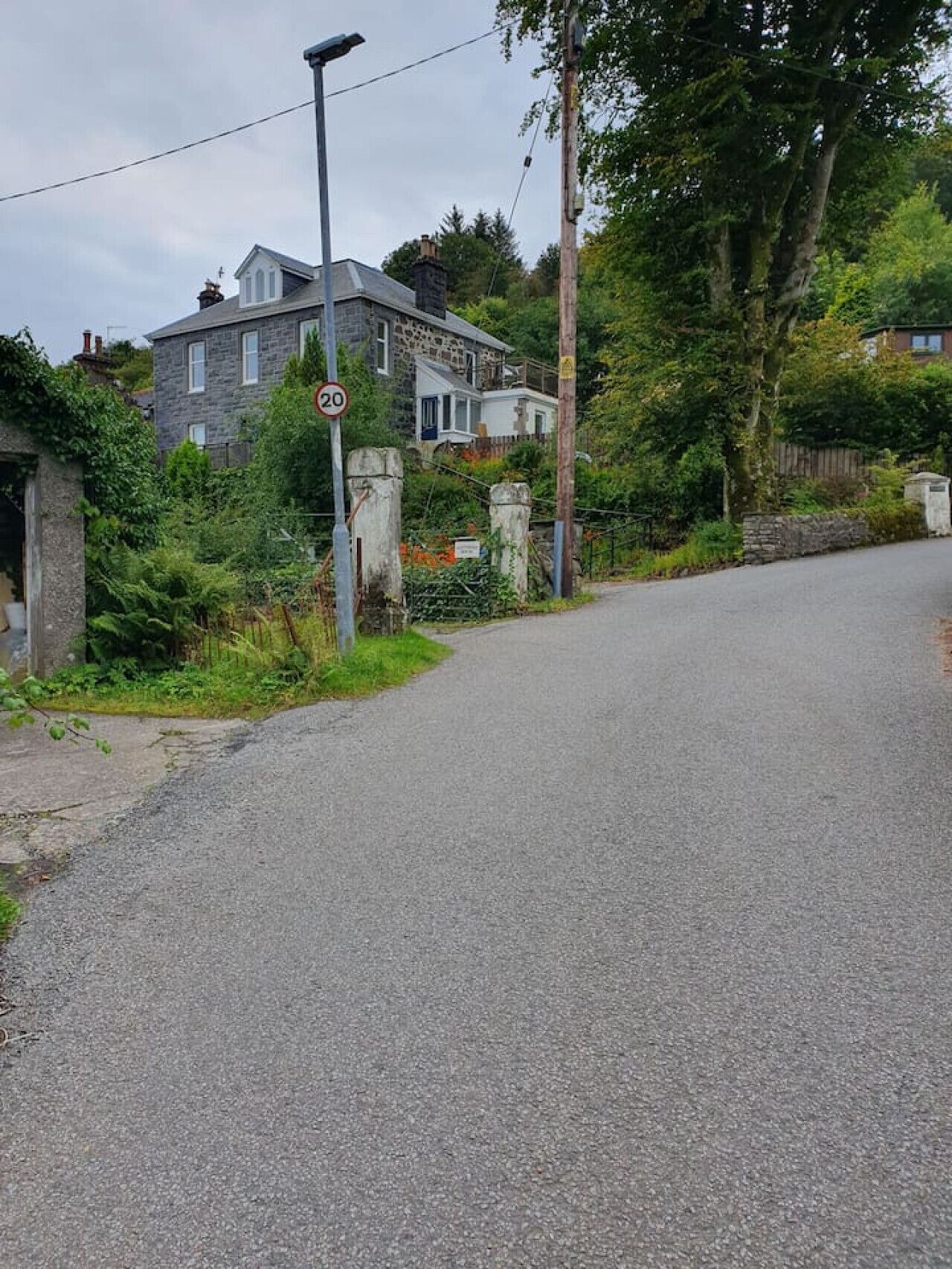 Une rue résidentielle avec un panneau indiquant la limite de vitesse, des maisons et une végétation luxuriante.