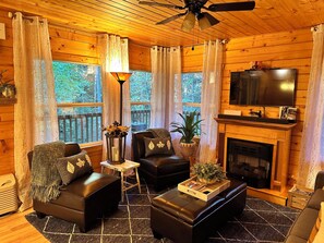 Smart TV, fireplace, DVD player, video library