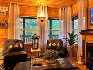 Smart TV, fireplace, DVD player, video library