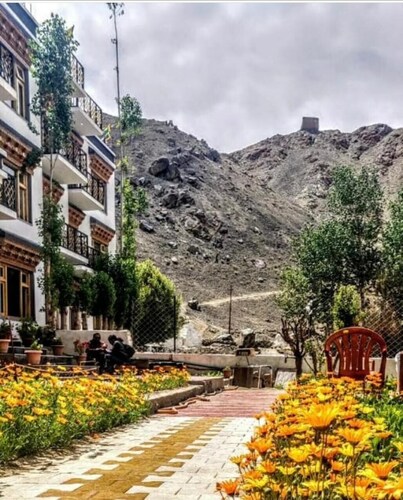 Marigold Ladakh