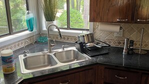 A kitchen with two stainless steel sinks, a dish drying rack, a potted plant, and a Clorox disinfecting spray bottle.