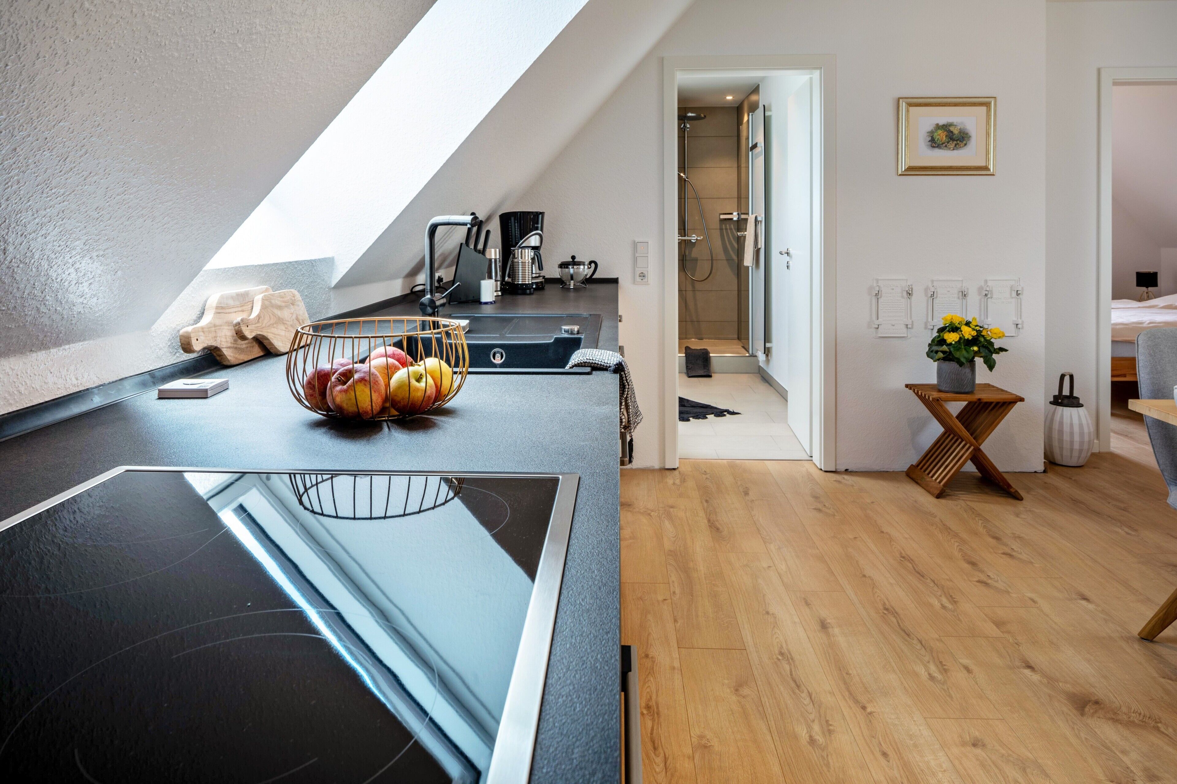 Kühlschrank, Ofen, Herdplatte, Geschirrspüler