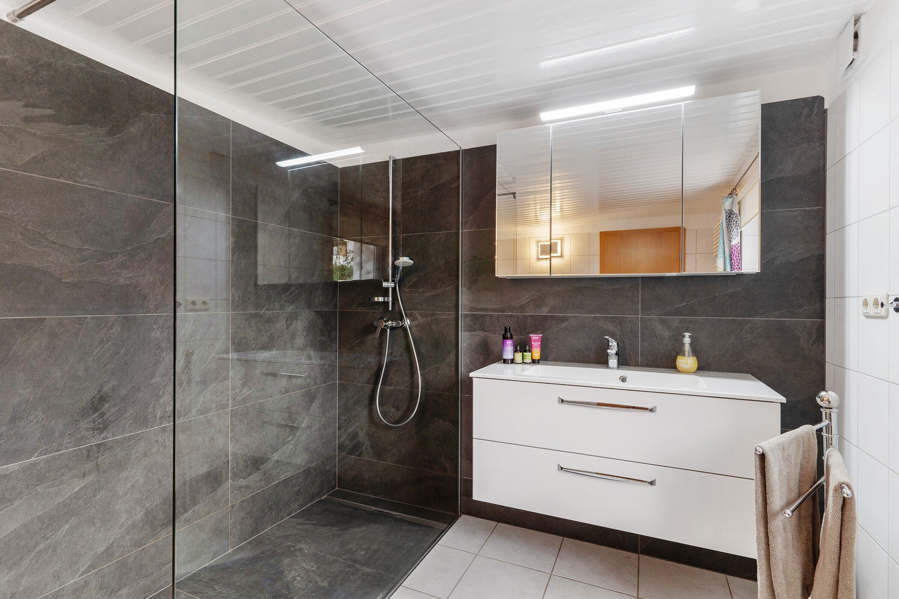 Shower, hair dryer, towels