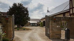 A cobblestone pathway leading to a traditional building with a large tree and stone walls.