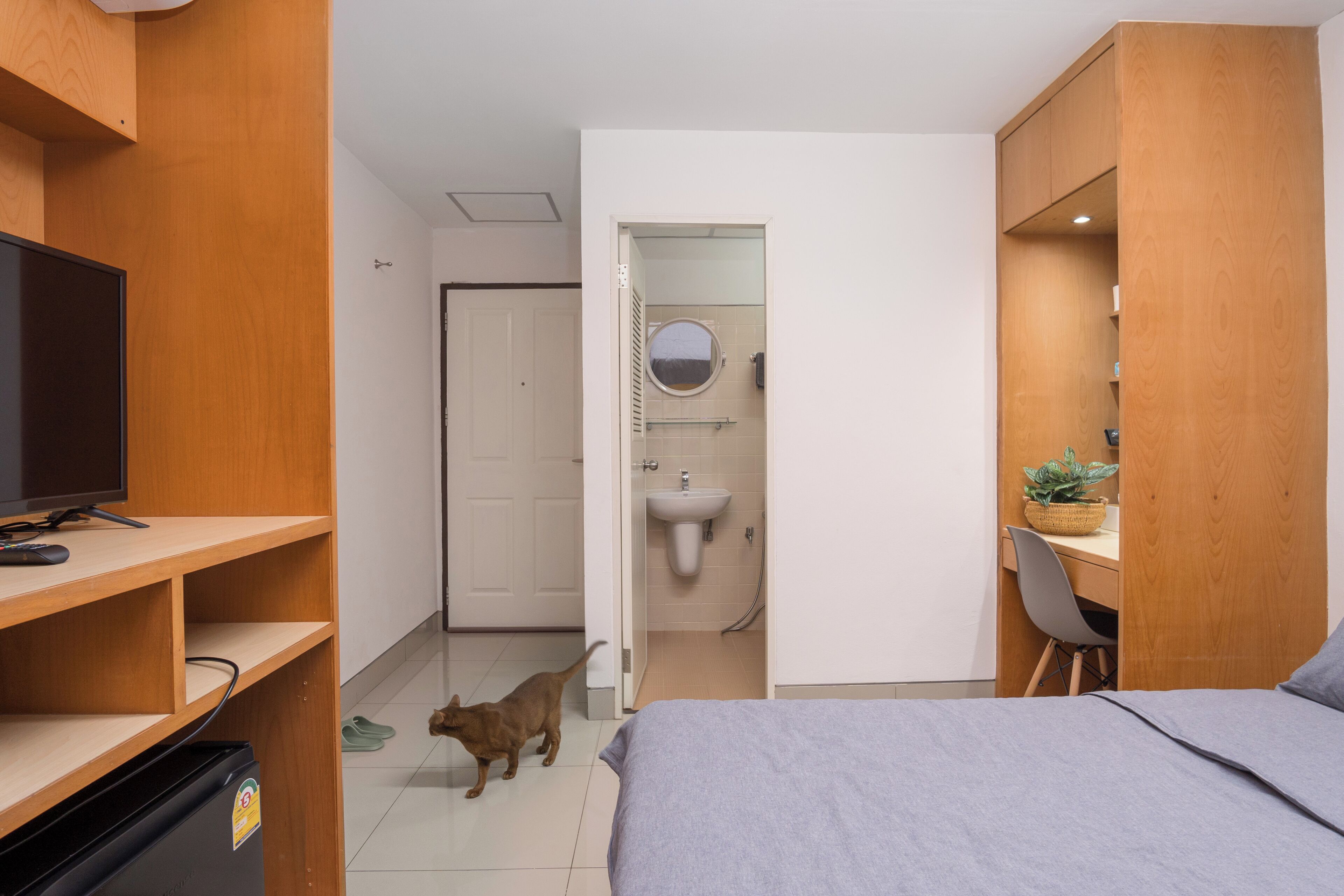 Free WiFi, bed sheets