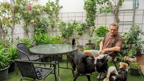 Una persona sentada a una mesa redonda con sillas, rodeada de plantas en macetas y un perro pequeño.