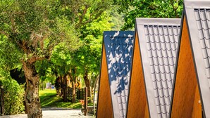 A row of modern, minimalist buildings with a unique architectural design, surrounded by lush greenery and trees. - NA SUN NA GU (Nan-ao)