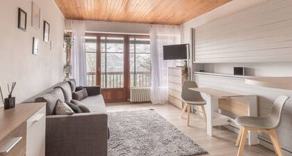 Nice studio 4 pers near the slopes