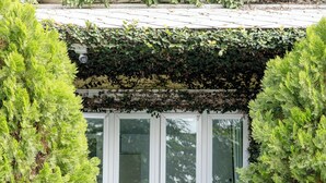 A white bench with ornate metalwork in front of a window with white frames, surrounded by lush green foliage. - The Target Hotel chaingrai  (Chiang Rai)