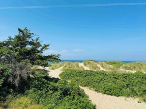 Beach - Experience real summer idyll at Drageholmen 3 (Græsted)