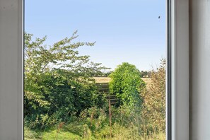 Blick durch ein Fenster auf eine ländliche Landschaft mit Bäumen und einem Feld.