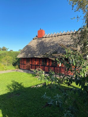 Exterior - Charming cottage in the best Hc Andersen style (Frørup)