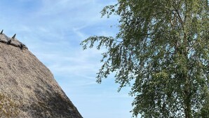 A thatched-roof building with a red exterior, a small garden with pink flowers, and a playground with a slide. - Charming cottage in the best H.C. Andersen style (Frørup)
