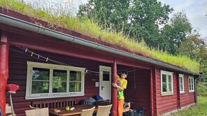 A red wooden building with a covered porch, outdoor seating, and a window overlooking greenery. - Charming Norwegian log cabin with grass roof (Ebeltoft)